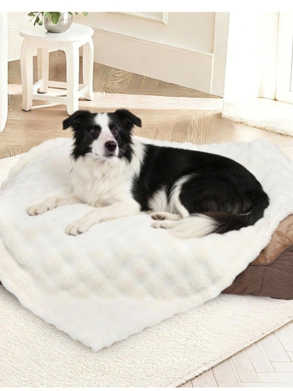 Zakäpaws Waterproof Flannel Pet Blanket 30x40 Soft Plush Dog Cat Blanket NIB